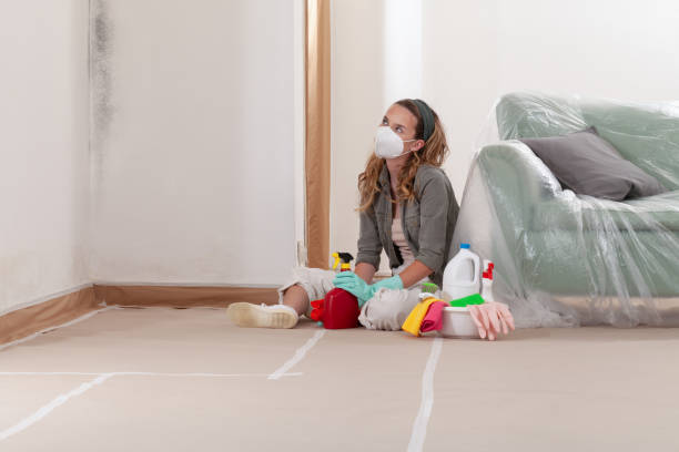 Reliable Mold Removal contractor in Arlington Heights, IL by 24 Hour Mold Removal
